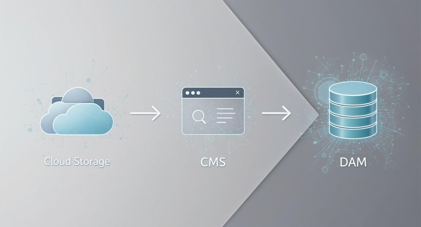 What Is Digital Asset Management Explained